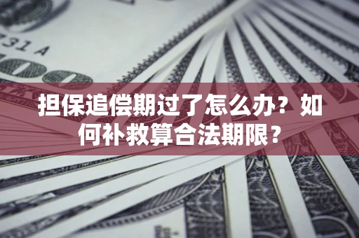 济南担保追偿期过了怎么办？如何补救算合法期限？
