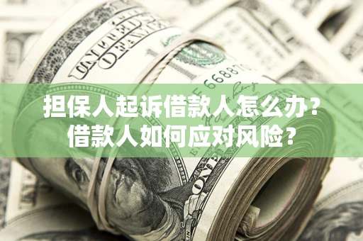 济南担保人起诉借款人怎么办？借款人如何应对风险？