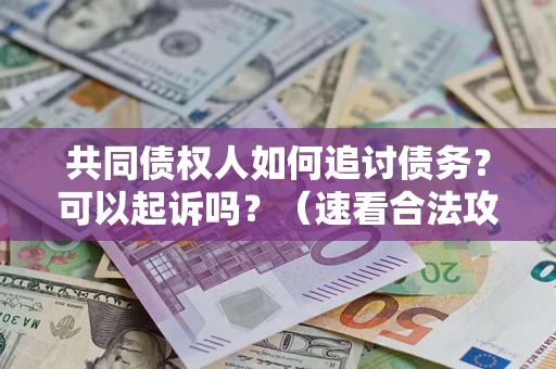 济南共同债权人如何追讨债务？可以起诉吗？（速看合法攻略）