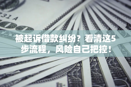 济南被起诉借款纠纷？看清这5步流程，风险自己把控！